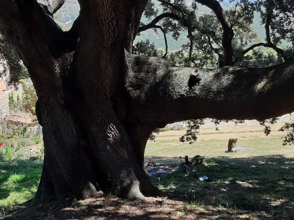 San Jorge  Amborgetヴィラ エクステリア 写真