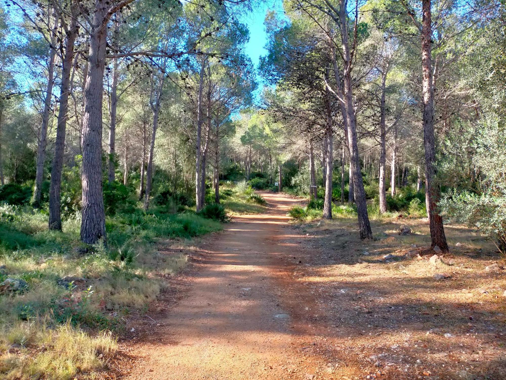 San Jorge  Amborgetヴィラ エクステリア 写真